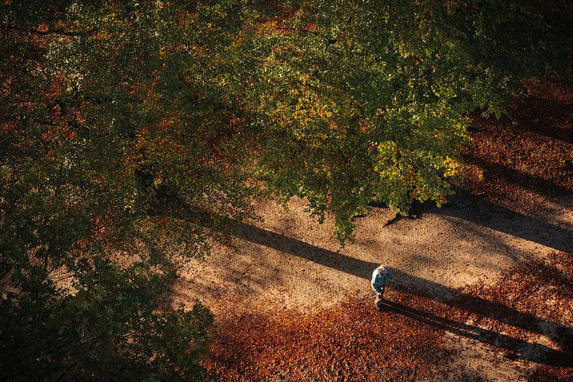 Herbstschatten von Paul Poot