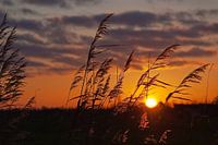 Zonsondergang in de herfst