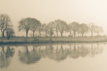 La Meuse est enveloppée de brouillard au lever du soleil.