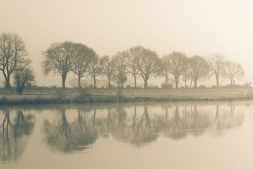 The Meuse shrouded in fog at sunrise.