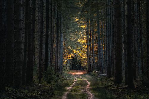 Automne