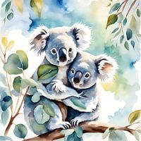 Koala Love