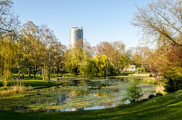 Weiher im Stadtpark mit Hochhaus in Essen Ruhr Ruhrgebiet