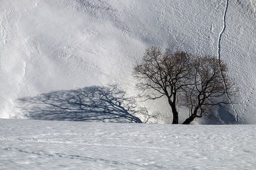 Sentiment d' intemporalité , en montagne