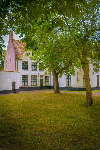 Tussen bomen in het begijnhof van Brugge