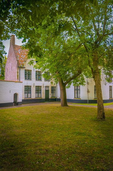Among trees in Bruges' beguinage by Geert Van Baelen