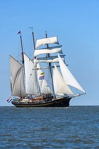Driemaster schoener Gulden Leeuw zeilt op de Waddenzee van Sjoerd van der Wal Fotografie