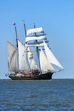 Three-masted topsail schooner Gulden Leeuw sailing on the Waddensea