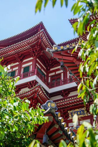 Détail en rouge et blanc du Buddha Tooth Relic Temple and Museum, à Singapour, encadré par des feuilles d'arbre.