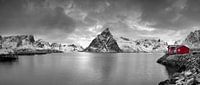 Rotes Holzhaus auf den Lofoten