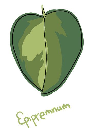 Leaf Epipremnum - Series 'Flora