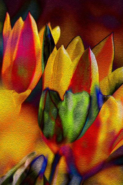 DIGITAAL SCHILDERIJ : LENTEONTWAKEN van Photoart-Naegele