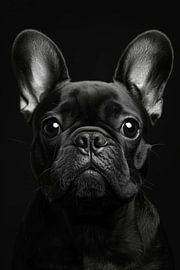 Elegant French Bulldog - Expressive portrait in timeless colours by MArt