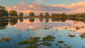 Sonnenuntergang im Nationalpark Dwingelderveld