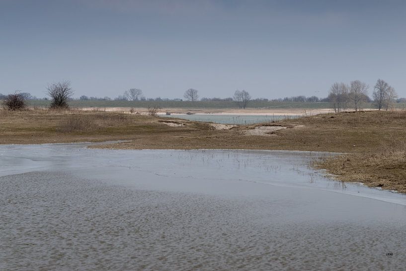 Kalter Tag im Ooijpolder, es weht ein starker Wind. von Lieke van Grinsven van Aarle