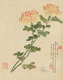 Flowers P. J, Liang Yuwei