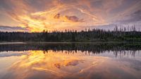 Oder pond in the Harz Mountains