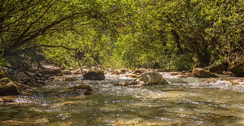 natuur beekje met rotsen