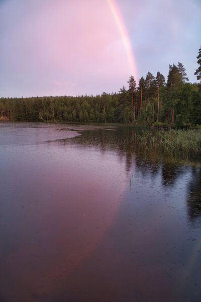 Regenboog over een Zweeds meer van Martin Köbsch