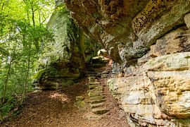 Mullerthal, 'Kleine Schweiz' Luxemburg von Edwin Kooren