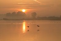 Zonsopgang boven de Lekdijk bij Everdingen (Utrecht)