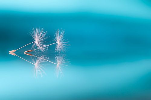 Spring is in the Air