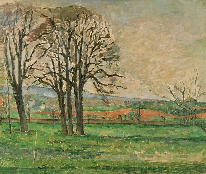 De kale bomen in Jas de Bouffan van Peter Balan
