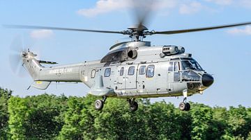 Armée de l'Air Aérospatiale AS-332 Super Puma. van Jaap van den Berg