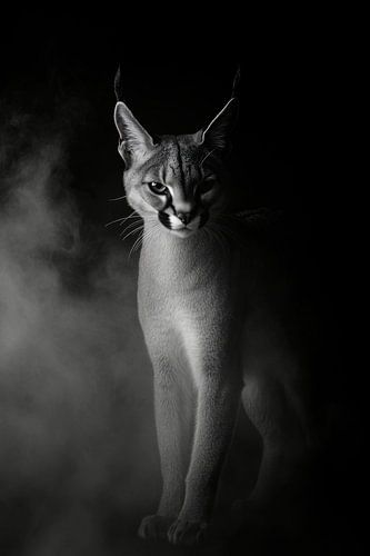 Luchs