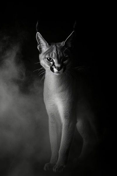 Lynx par Poster Art Shop