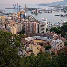 Malaga bij zonsondergang vanaf Mirador de Gibralfaro van Ylenia Di Pietra