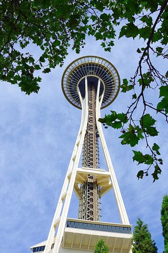 The Space Needle framed by trees