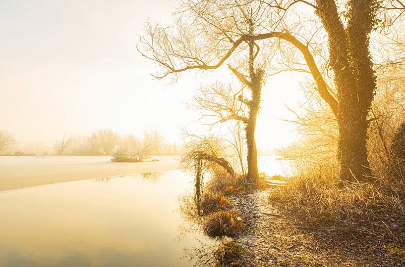 Savica Zagreb - Croatia by Marcel Kerdijk