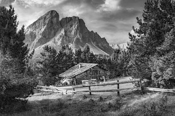 Hütte mit Alm in den Alpen in Südtirol. Schwarzweiss Bild. von Manfred Voss, Schwarz-weiss Fotografie
