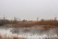 Mist aan de kinderdijk met de windmolens. van Brian Morgan thumbnail