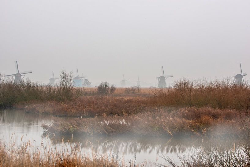 Mist aan de kinderdijk met de windmolens. van Brian Morgan