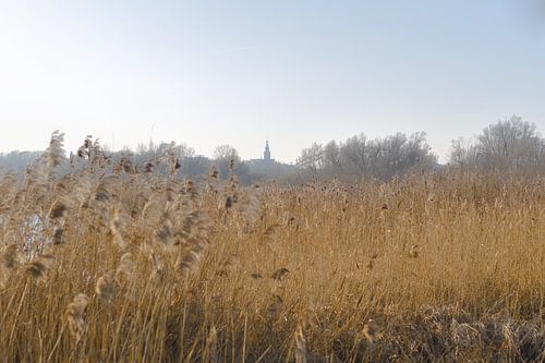 Ooijpolder Nijmegen sur Caroline Guerain