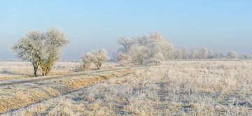 Winter Wonderland sur Jan Hoekstra