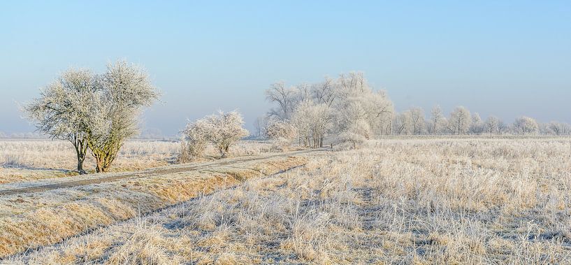 Winter Wonderland van Jan Hoekstra