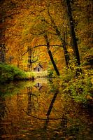 Huisje in de herfst in het bos