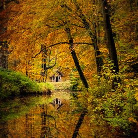 Chalet dans la forêt en automne sur Adrianne Dieleman