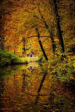 Huisje in de herfst in het bos van Adrianne Dieleman