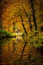 Huisje in de herfst in het bos van Adrianne Dieleman thumbnail