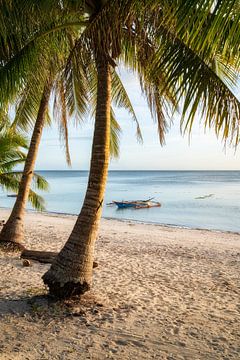 Palm trees and sea with Bangka boat for sunset on Siquijor island in Philippines