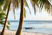 Palmen und Meer mit Bangka Boot zum Sonnenuntergang auf der Insel Siquijor auf Philippinen von Daniel Pahmeier