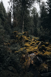 Schwedische Wildnis – Ruine eines historischen Sägewerks mit ockergelbem Herbstmoos bei Fämtfallet von Dylan Winter Visuals