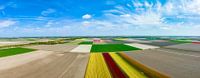 Tulpen op de akkers tijdens de lente van bovenaf gezien van Sjoerd van der Wal Fotografie thumbnail