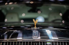 Symbole &amp ; Style - Pleins feux sur les faces avant des véhicules