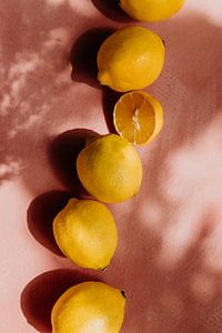 Sommerszene, gelbe Zitronen auf rosa Hintergrund