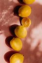 Zomers tafereel, gele citroenen op roze achtergrond | deel 2 van Yvette Baur thumbnail
